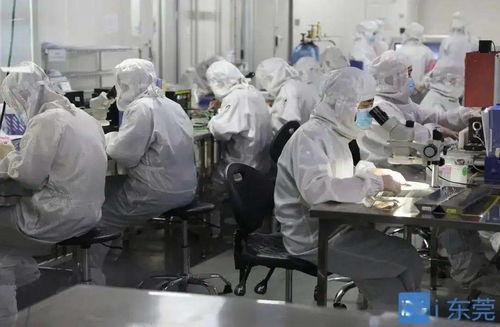 精密医疗器械技术 革新医疗服务的基石与未来